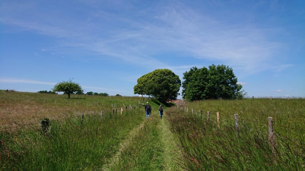 Country Living: Planning Your Escape To The Countryside Country Living: Planning Your Escape To The Countryside
