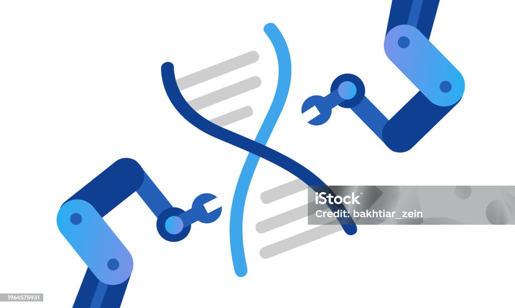 CRISPR Gene Editing: Enhanced Accuracy And Effectiveness Through Novel Modification CRISPR Gene Editing: Enhanced Accuracy And Effectiveness Through Novel Modification