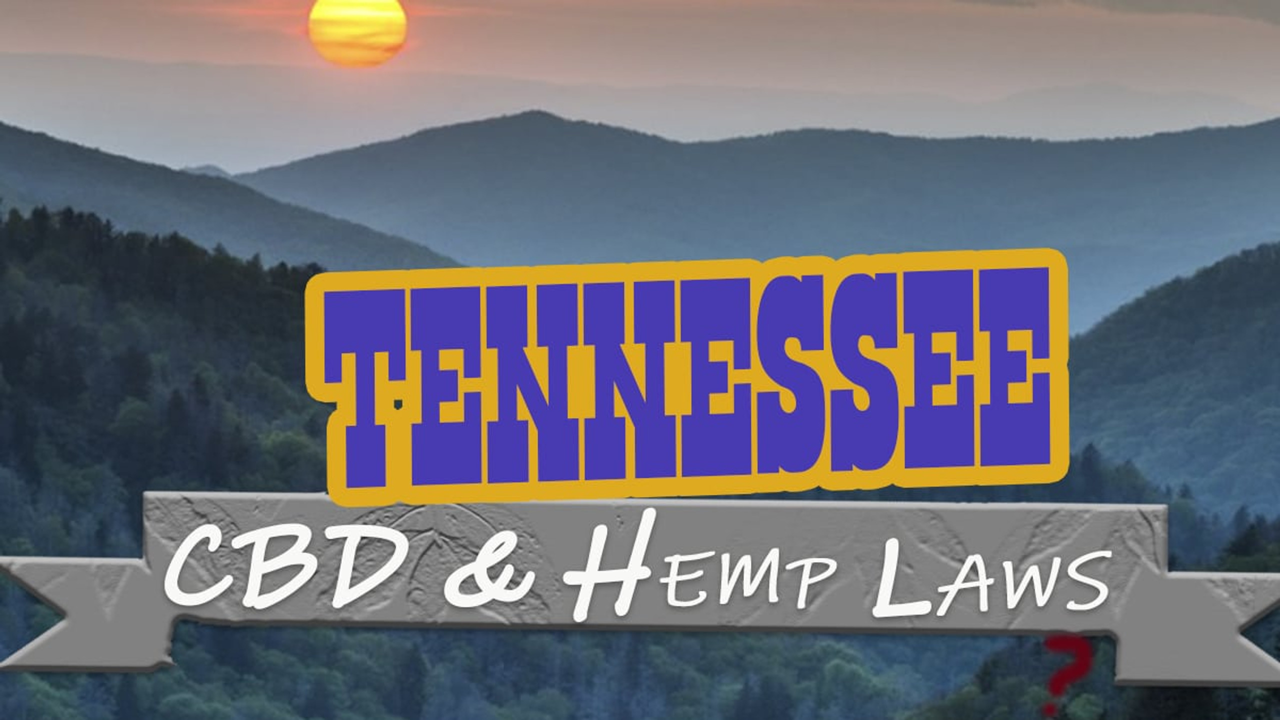 Deciphering Georgia's Hemp Laws: Your Guide To Legal Purchases Deciphering Georgia's Hemp Laws: Your Guide To Legal Purchases