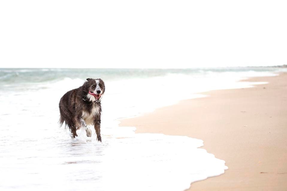 Discover The Top 10 US Beaches For 2025 (According To Dr. Beach) Discover The Top 10 US Beaches For 2025 (According To Dr. Beach)