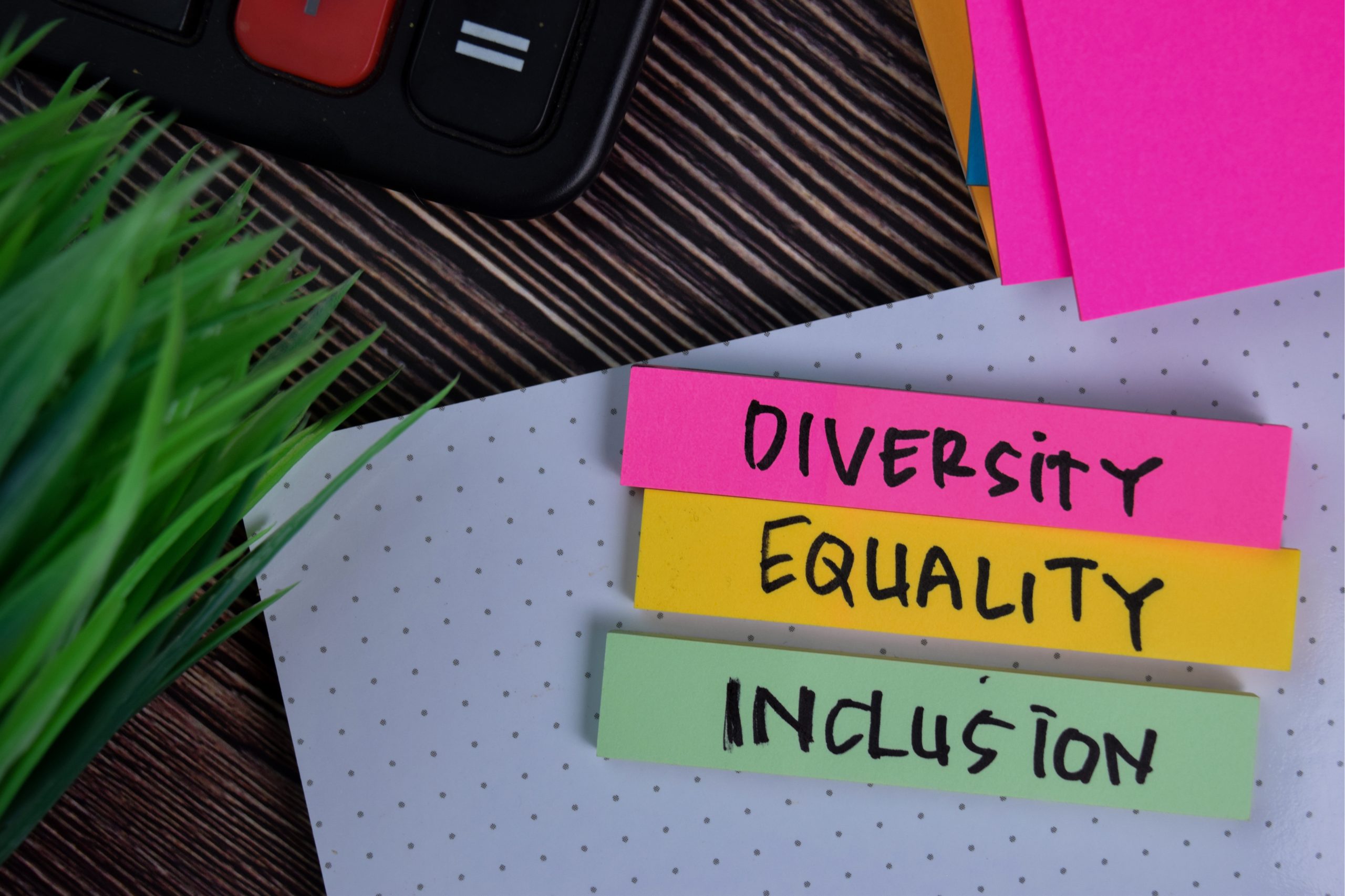 Diversity And Inclusion: Key To Basel's Eurovision Hopes Diversity And Inclusion: Key To Basel's Eurovision Hopes