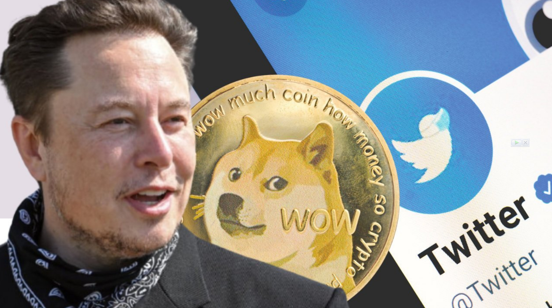 Dogecoin And The Trump Administration: Musk's Unwavering Stance