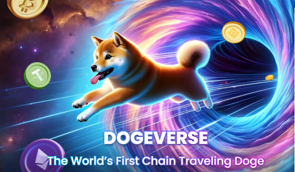 Dogecoin, Shiba Inu, And Sui: Exploring The Factors Driving Their Value Dogecoin, Shiba Inu, And Sui: Exploring The Factors Driving Their Value