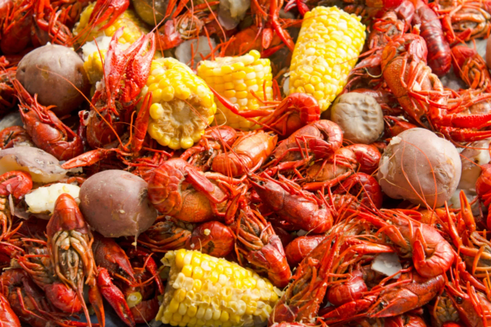 Easter Weekend In Lake Charles: Live Music, Events & Entertainment Easter Weekend In Lake Charles: Live Music, Events & Entertainment