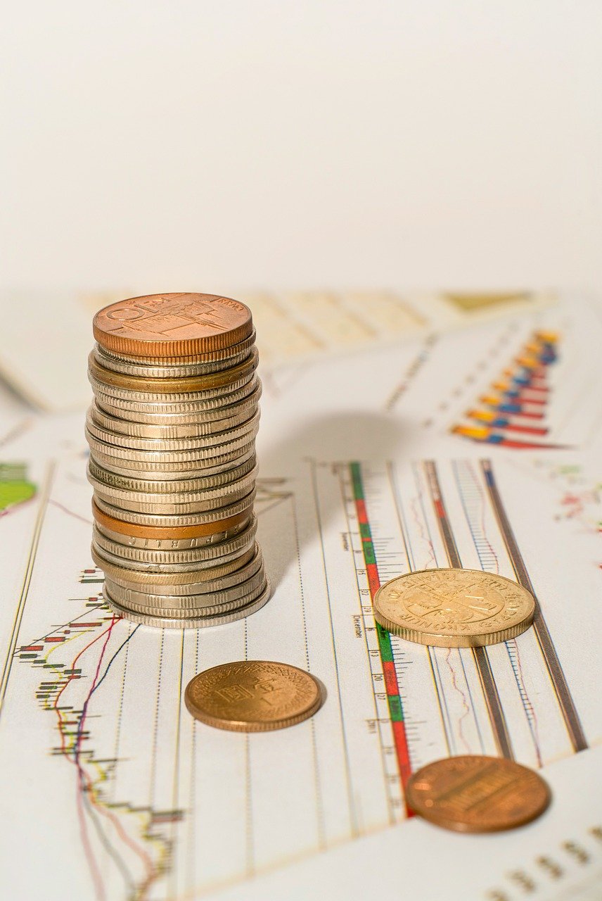 Economiser Intelligemment : Guide Pratique Pour Un Budget Équilibré Economiser Intelligemment : Guide Pratique Pour Un Budget Équilibré