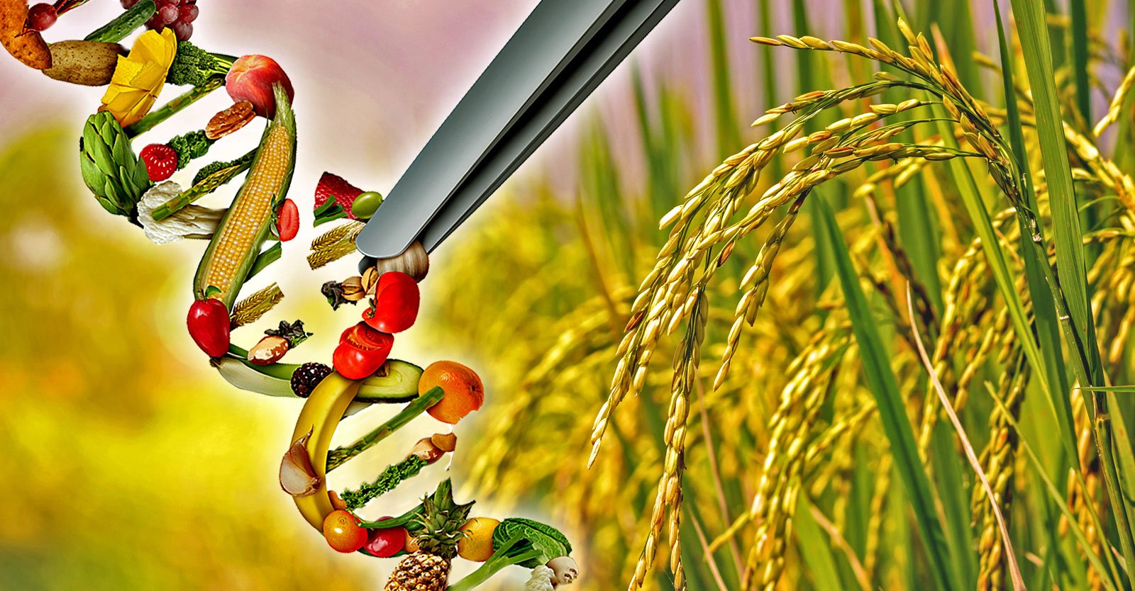 Efficient Whole Gene Delivery Using CRISPR Technology In Humans Efficient Whole Gene Delivery Using CRISPR Technology In Humans