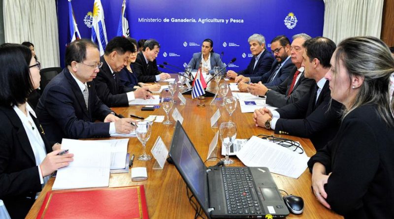 El Inusual Regalo De Uruguay Para Fortalecer Las Relaciones Comerciales Y Exportaciones Ganaderas Con China El Inusual Regalo De Uruguay Para Fortalecer Las Relaciones Comerciales Y Exportaciones Ganaderas Con China