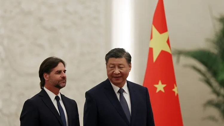 El Peculiar Regalo De Uruguay A China Y Su Impacto En Las Exportaciones Ganaderas El Peculiar Regalo De Uruguay A China Y Su Impacto En Las Exportaciones Ganaderas