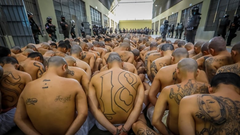 El Salvador Prison Transfers: Jeanine Pirro's Controversial Remarks On Due Process El Salvador Prison Transfers: Jeanine Pirro's Controversial Remarks On Due Process