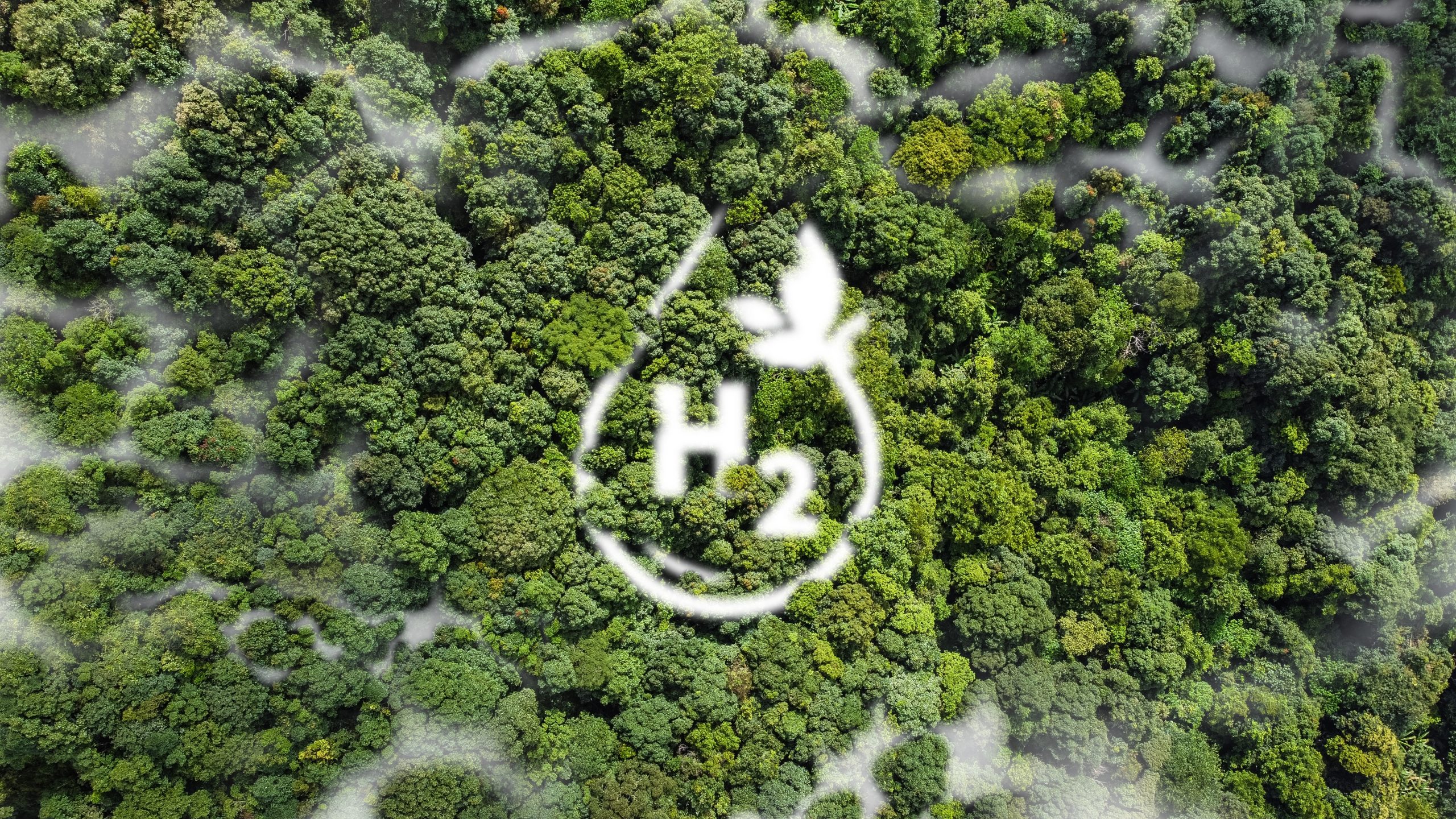 Elevated PFAS Levels Found In Blue Mountains Water Source: Public Health Risk Elevated PFAS Levels Found In Blue Mountains Water Source: Public Health Risk