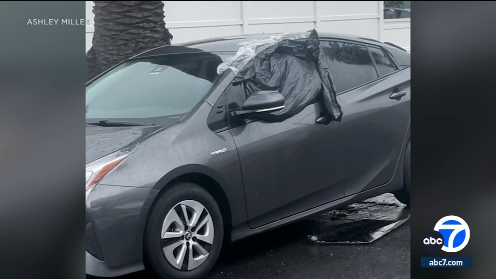 Elizabeth City Apartment Complex Car Break-ins: Dozens Of Vehicles Targeted Elizabeth City Apartment Complex Car Break-ins: Dozens Of Vehicles Targeted
