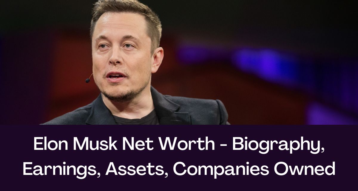 Elon Musk Net Worth Drops Below $300 Billion: Tesla, Tariffs, And Market Volatility