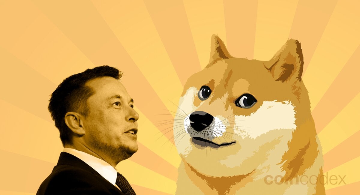 Elon Musk's Dogecoin Holdings: A Deep Dive Elon Musk's Dogecoin Holdings: A Deep Dive