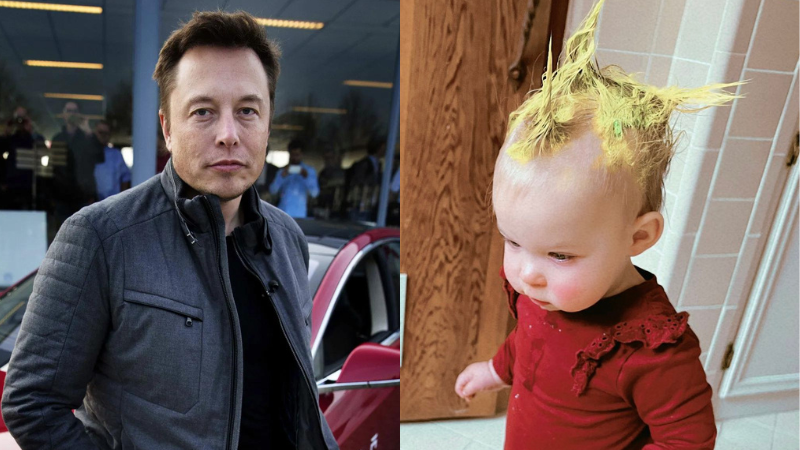 Elon Musk's X Rename: Gorklon Rust - An Analysis Elon Musk's X Rename: Gorklon Rust - An Analysis