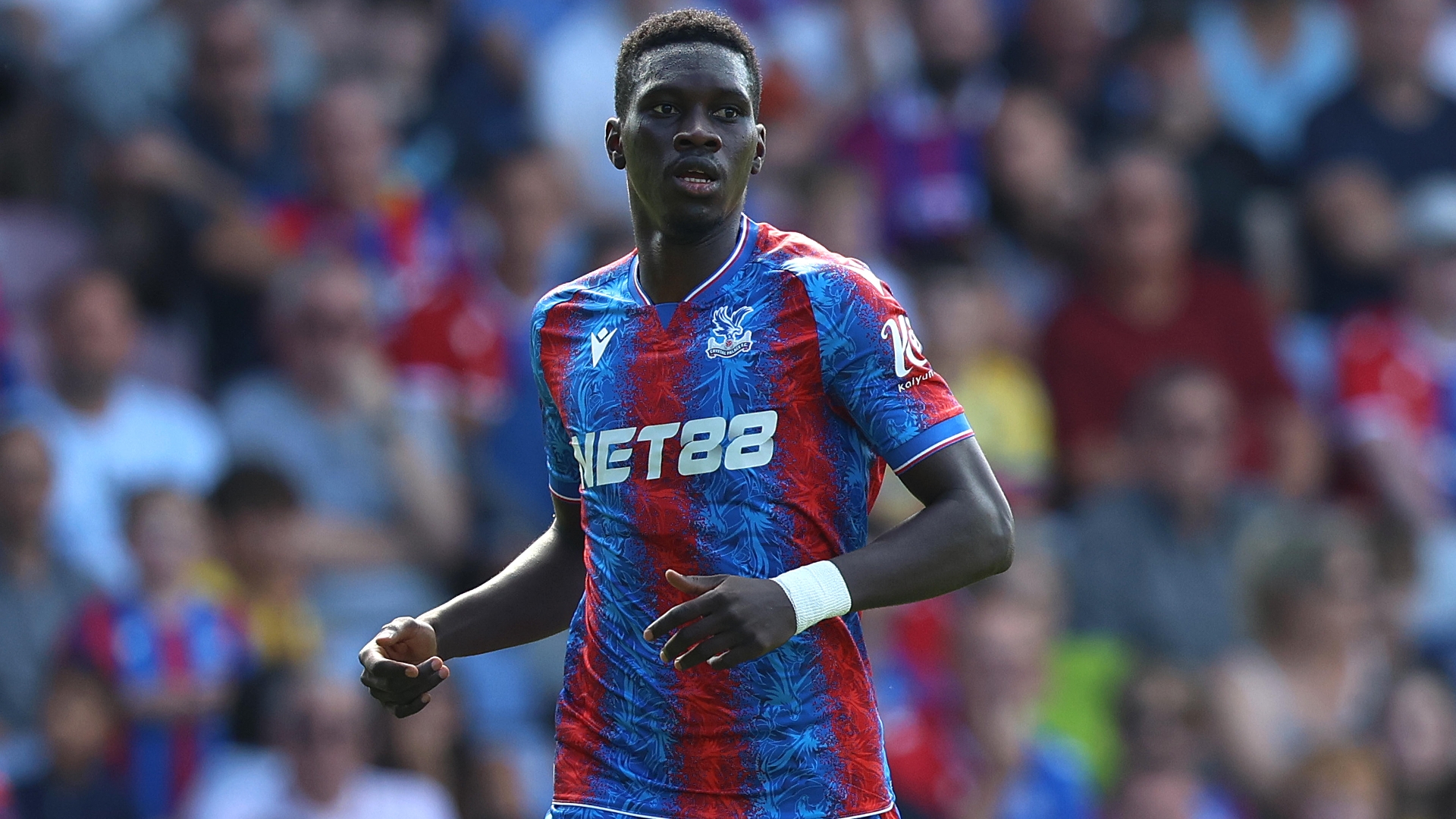En Directo: Crystal Palace Contra Nottingham Forest En Directo: Crystal Palace Contra Nottingham Forest