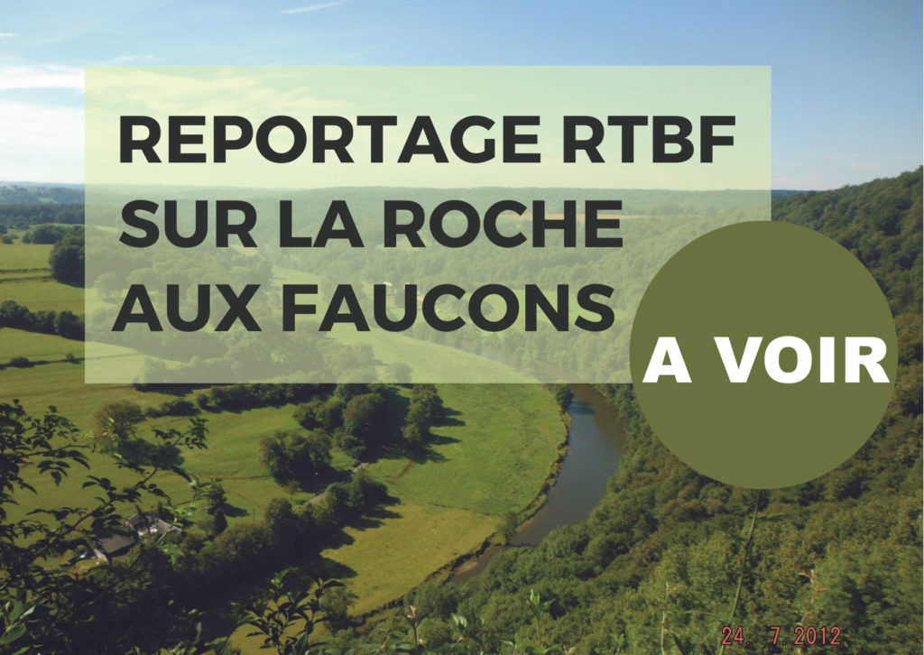 Enquête Sur Les Pannes Techniques Récurrentes À La RTBF Enquête Sur Les Pannes Techniques Récurrentes À La RTBF