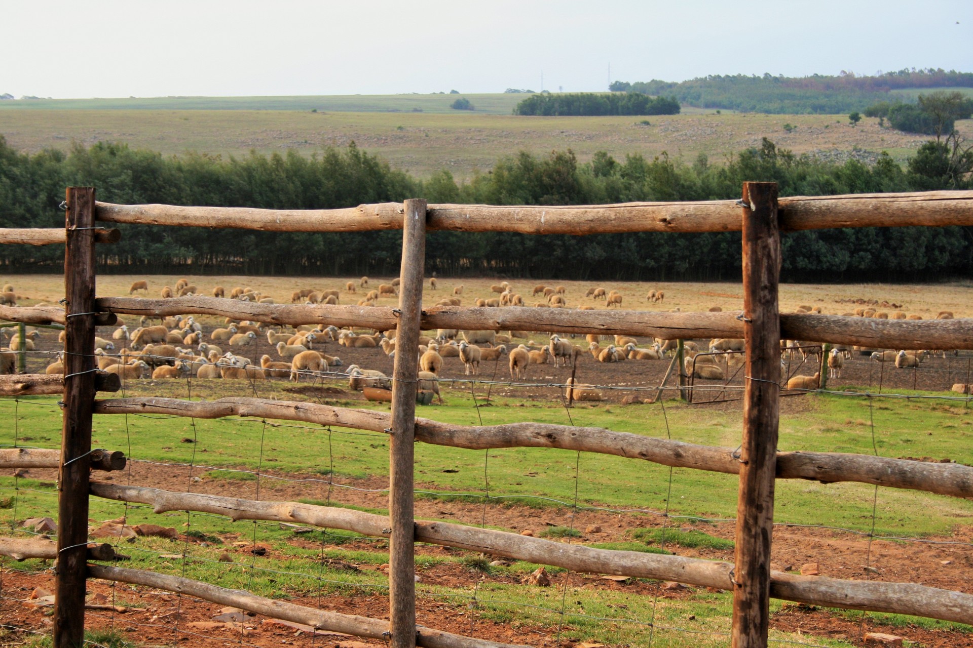 Escape To The Country: Financing Your Rural Property Purchase Escape To The Country: Financing Your Rural Property Purchase