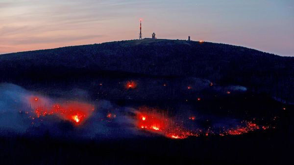 Essen-Heisingen: Feuerwehr Bekämpft Nächtlichen Waldbrand Am 07.04.2025 Essen-Heisingen: Feuerwehr Bekämpft Nächtlichen Waldbrand Am 07.04.2025