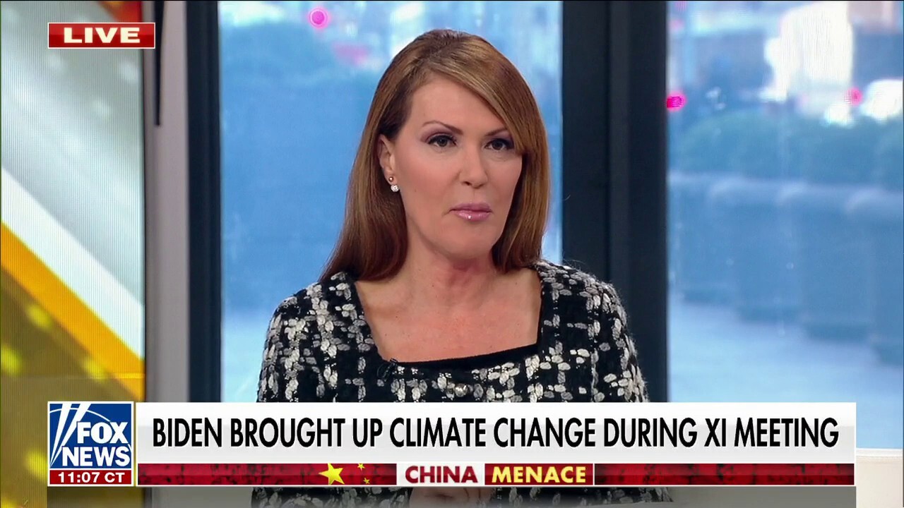 Ex-CNN Reporter Reveals Concerns Over Biden's Health Ex-CNN Reporter Reveals Concerns Over Biden's Health