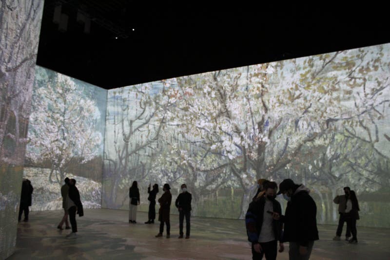 Experience Banksy: The Immersive Vancouver Exhibition
