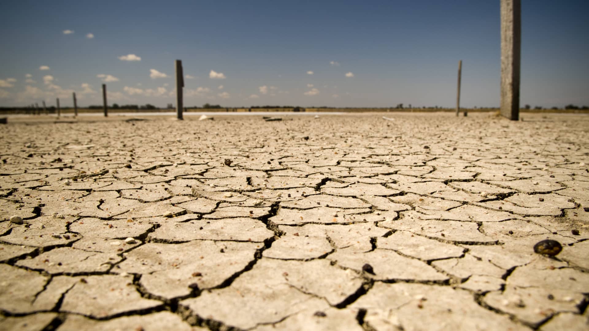 Farmers Struggle Amidst Drought And Kangaroo Pressure In South Australia Farmers Struggle Amidst Drought And Kangaroo Pressure In South Australia