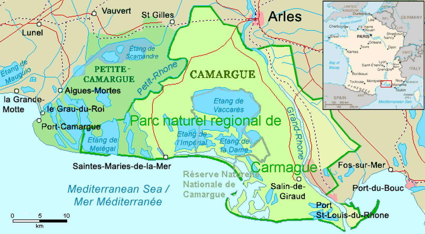 Festival De La Camargue À Port-Saint-Louis-du-Rhône : Un Événement Maritime