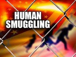FIA Arrests Four More Human Smugglers: Crackdown Intensifies FIA Arrests Four More Human Smugglers: Crackdown Intensifies