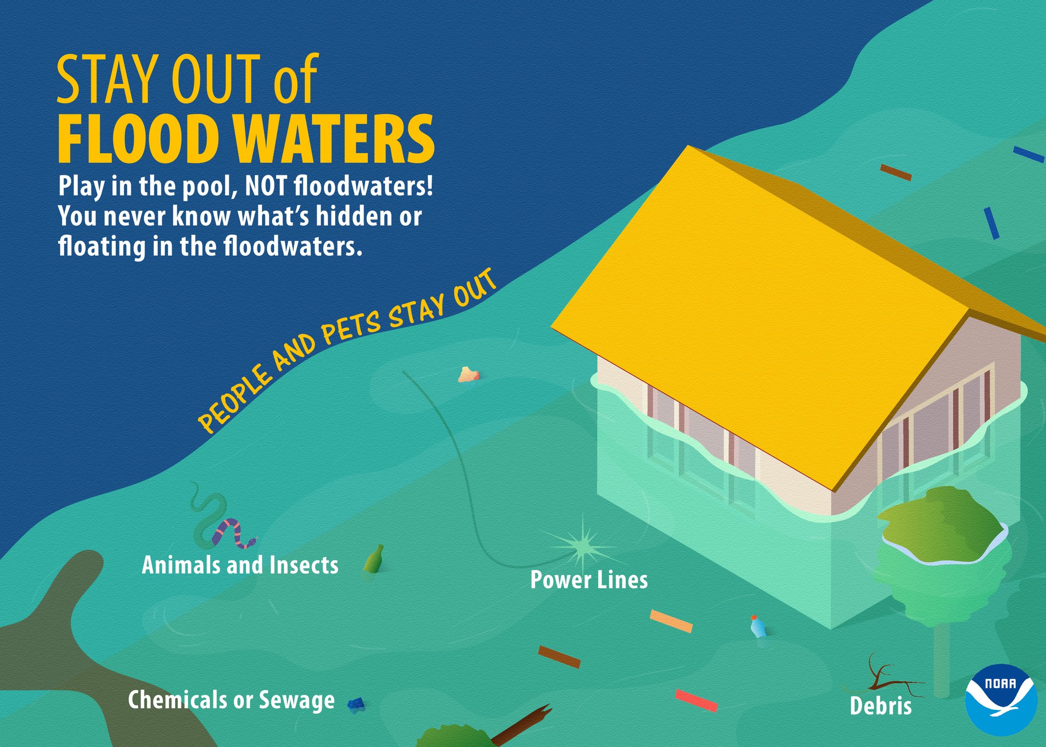 Flash Flood Warning: What You Need To Know About Potential Flood Alerts Flash Flood Warning: What You Need To Know About Potential Flood Alerts