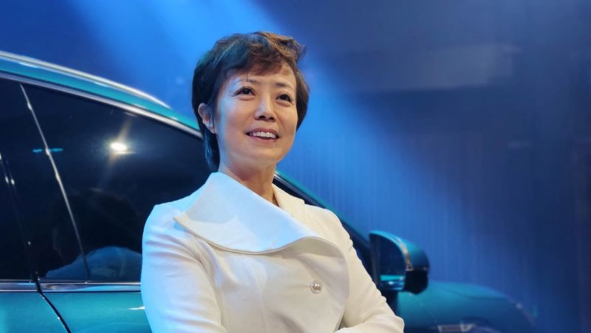Ford's Brazilian Legacy Faces BYD's Electric Vehicle Challenge Ford's Brazilian Legacy Faces BYD's Electric Vehicle Challenge
