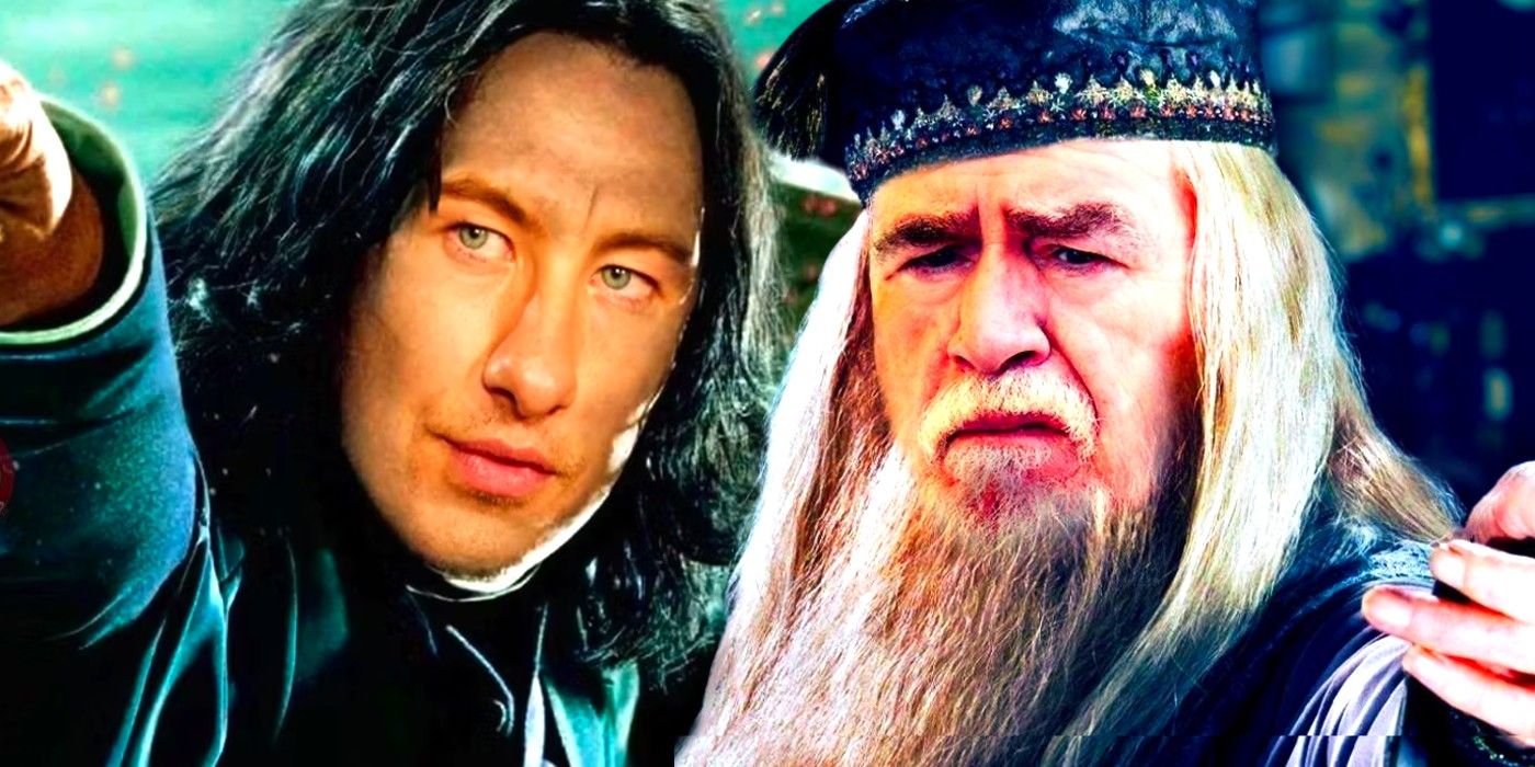 Forget Snape And Dumbledore: A Critical Character For HBO's Harry Potter Adaptation Forget Snape And Dumbledore: A Critical Character For HBO's Harry Potter Adaptation