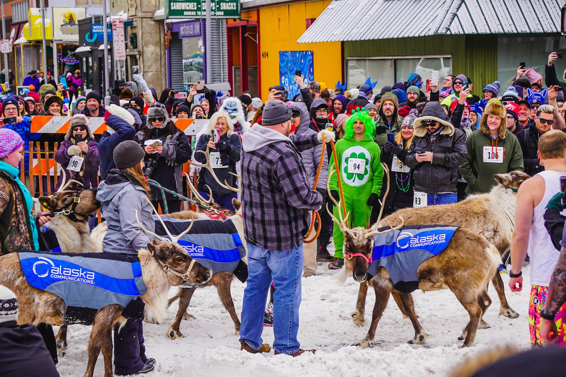 Fur Rondy:  A Shorter Race, Same Unstoppable Teams
