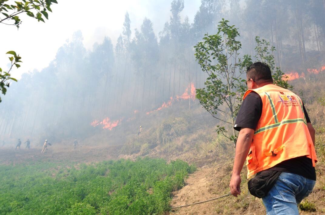Grave Incendio Forestal En Constanza: Bomberos En Acción Grave Incendio Forestal En Constanza: Bomberos En Acción
