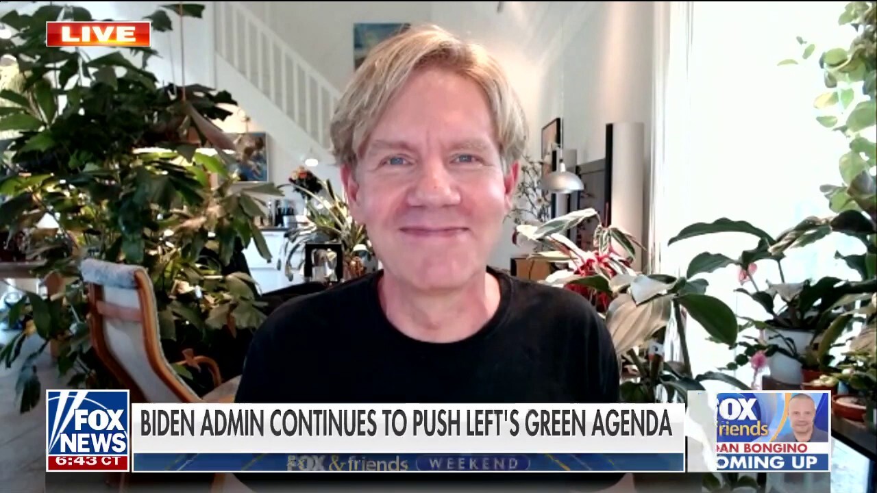 Greene Advocates For Reduced QE In Future Economic Crises Greene Advocates For Reduced QE In Future Economic Crises