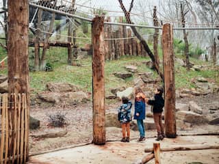 Hamer: Bruins Moet Met NPO-toezichthouder Over Leeflang Praten Hamer: Bruins Moet Met NPO-toezichthouder Over Leeflang Praten