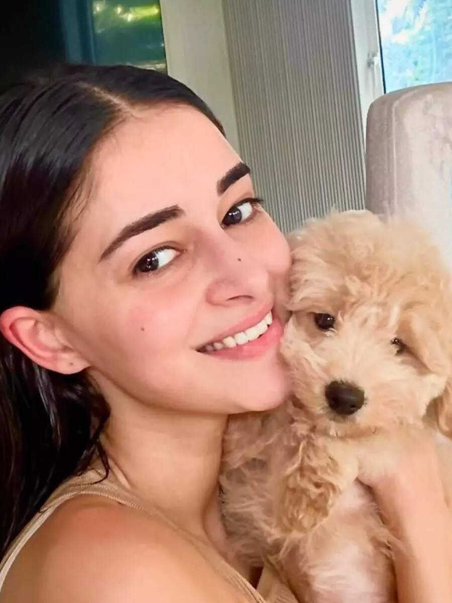 Happy 1st Birthday, Riot! Ananya Panday's Dog's Adorable Birthday Party Happy 1st Birthday, Riot! Ananya Panday's Dog's Adorable Birthday Party