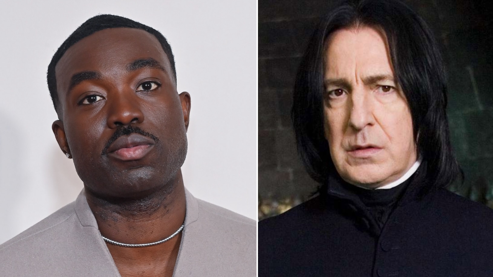 Harry Potter TV Series: Who's Playing Dumbledore, Snape, Hagrid, & McGonagall? Harry Potter TV Series: Who's Playing Dumbledore, Snape, Hagrid, & McGonagall?