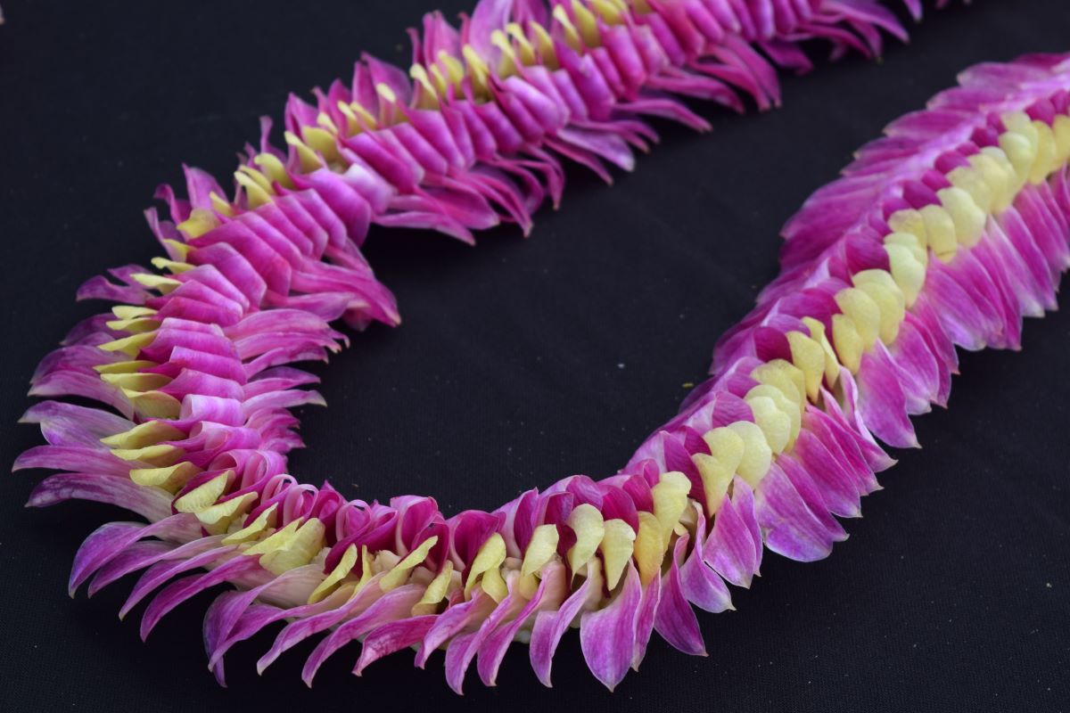 Hawaii Keiki Showcase Artistic Talents: Sew A Lei For Memorial Day Poster Contest Hawaii Keiki Showcase Artistic Talents: Sew A Lei For Memorial Day Poster Contest