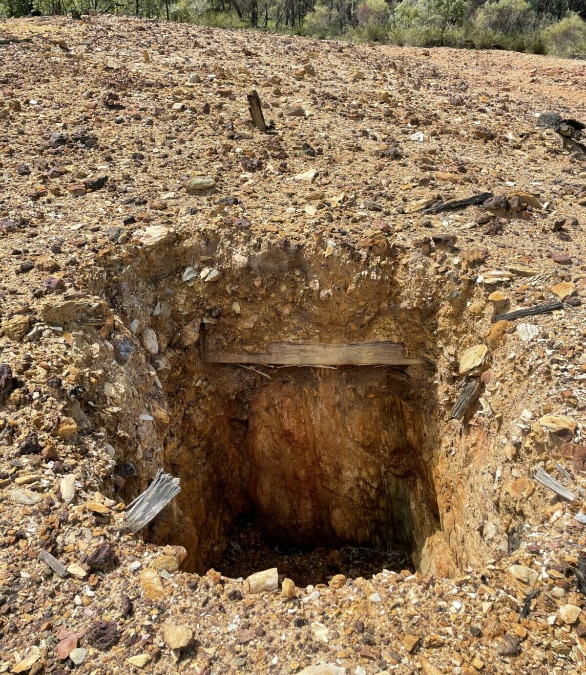 Health Risks Associated With Abandoned Gold Mines Health Risks Associated With Abandoned Gold Mines