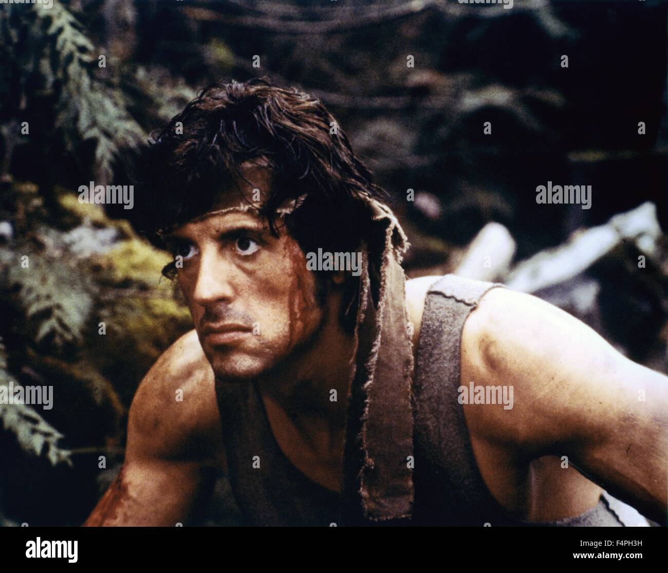 Hollywood Mourns: Ted Kotcheff, Director Of First Blood, Passes Away Hollywood Mourns: Ted Kotcheff, Director Of First Blood, Passes Away