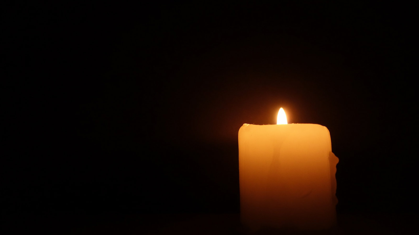 Holocaust Remembrance: Meta Israel Enlists Israeli Celebrities For Annual Instagram Project