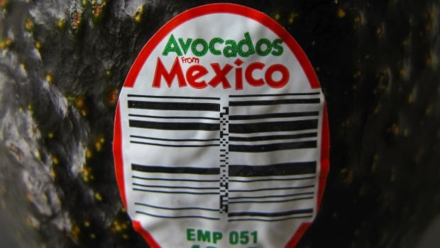 How Canada And Mexico Can Boost Trade Despite US Tariffs How Canada And Mexico Can Boost Trade Despite US Tariffs