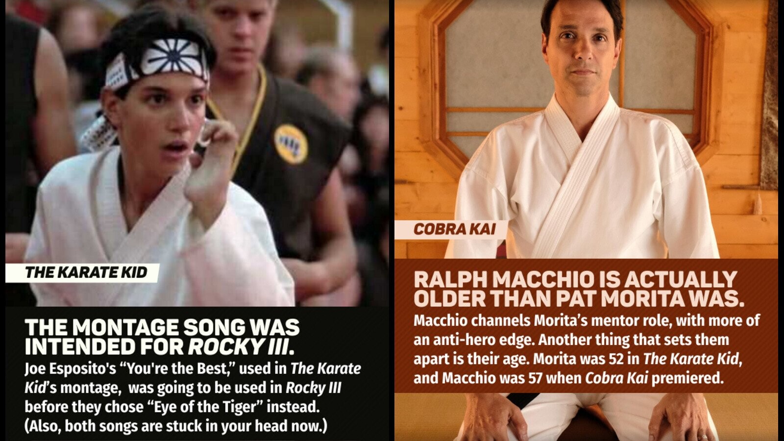 How Cobra Kai Connects To The Karate Kid Franchise: A Continuity Analysis How Cobra Kai Connects To The Karate Kid Franchise: A Continuity Analysis
