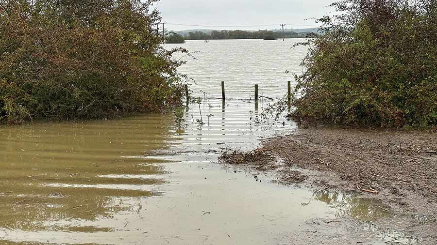 How Flooding Impacts Livestock And Farm Operations How Flooding Impacts Livestock And Farm Operations