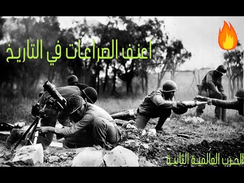 حطب الحرب: وقود الصراعات الطويلة عبر التاريخ حطب الحرب: وقود الصراعات الطويلة عبر التاريخ