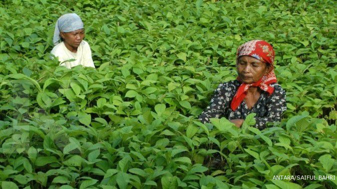 Hujan Petir Landa Jawa Timur: Prakiraan Cuaca Besok, 29 Maret 2024 Hujan Petir Landa Jawa Timur: Prakiraan Cuaca Besok, 29 Maret 2024