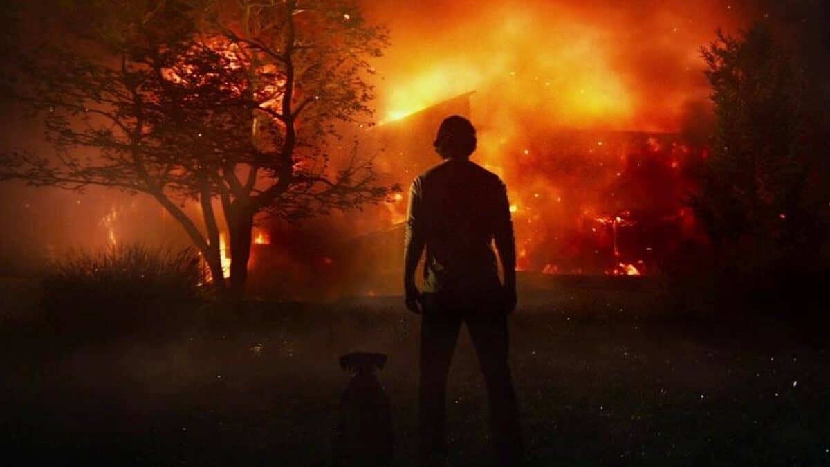 Hulu Alien Franchise: The Best And Worst Films To Stream Hulu Alien Franchise: The Best And Worst Films To Stream