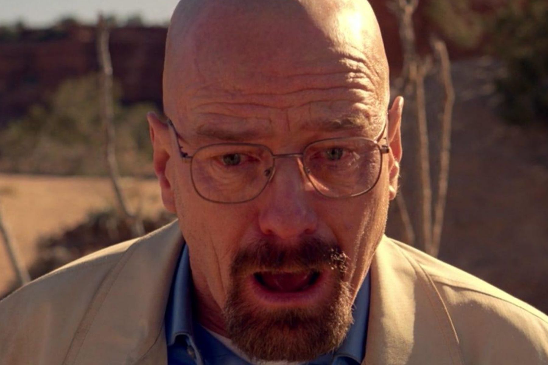 Iconic Show Revival: Bryan Cranston's Vancouver Filming Confirmed Iconic Show Revival: Bryan Cranston's Vancouver Filming Confirmed