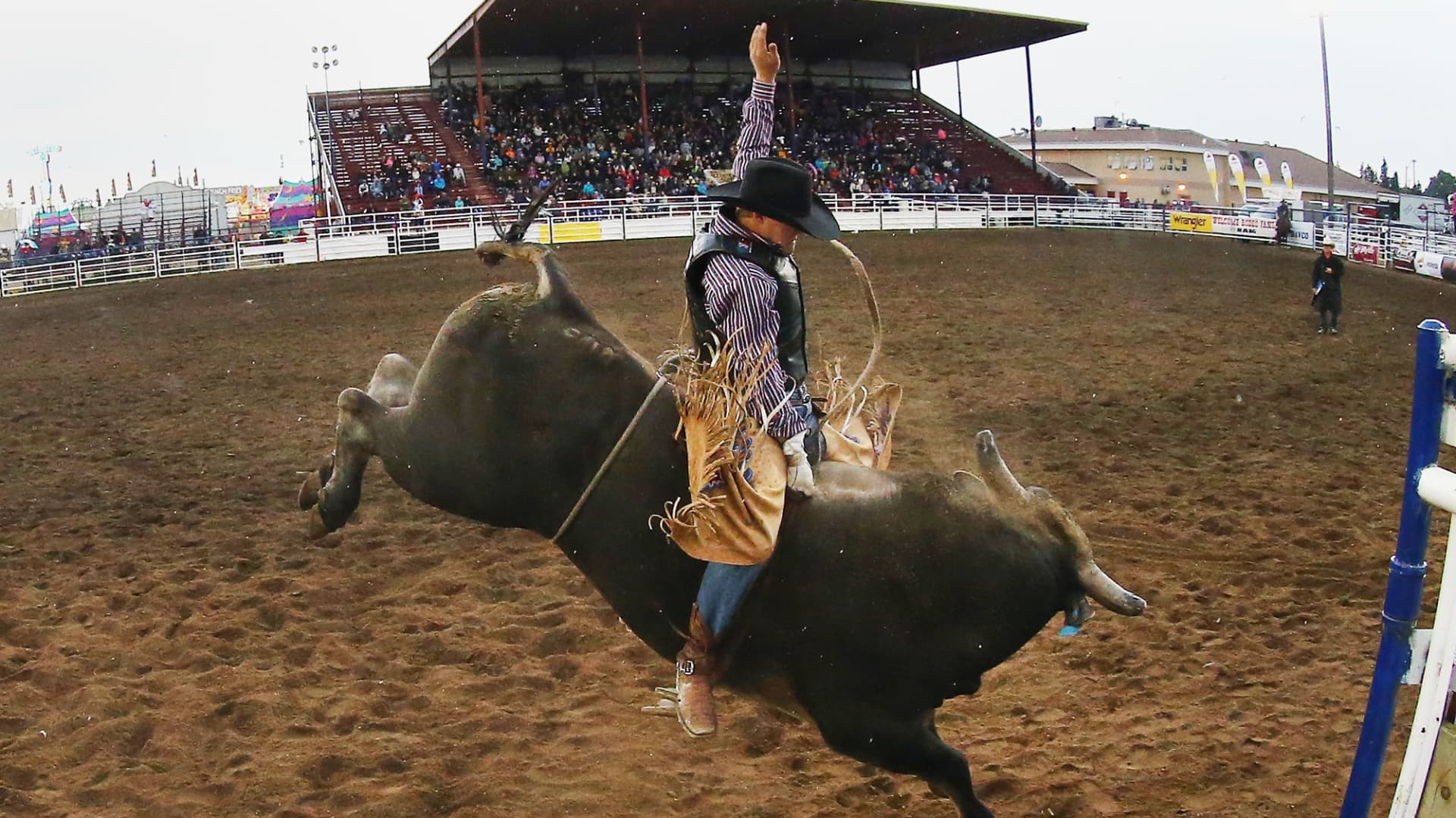 Ignoring The Recession? Why Stock Investors Expect A Bull Market Ignoring The Recession? Why Stock Investors Expect A Bull Market