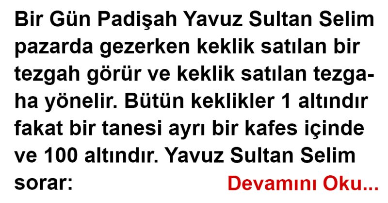 İhanetin Bedelini Ödetmeyen Burç Yok Mu? İntikamcı Burçlar İhanetin Bedelini Ödetmeyen Burç Yok Mu? İntikamcı Burçlar