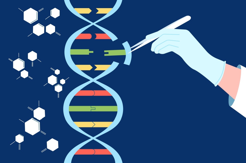 Improved Gene Editing With A Novel CRISPR Modification Improved Gene Editing With A Novel CRISPR Modification